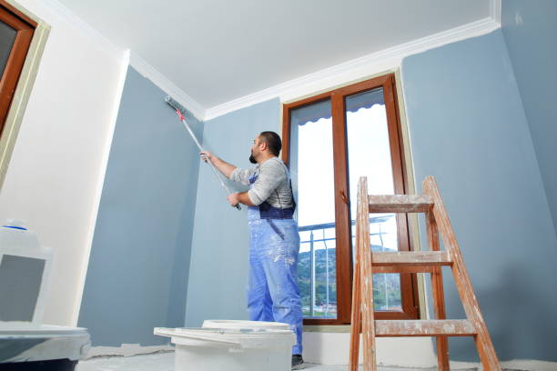 Best Mold Prevention Services  in Chadron, NE
