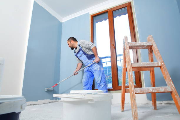  Chadron, NE Mold Removal Pros