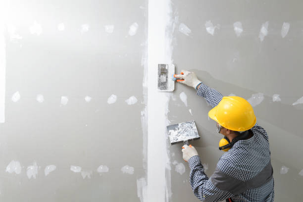 Best Residential Mold Inspection & Testing  in Chadron, NE