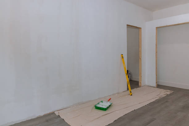 Best Attic Mold Removal  in Chadron, NE