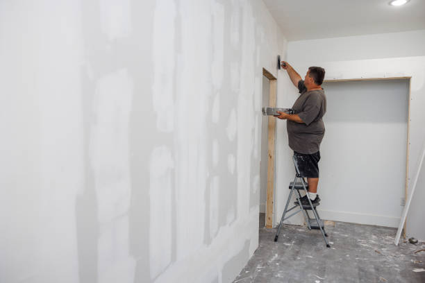 Best Environmental Consulting for Mold Prevention  in Chadron, NE