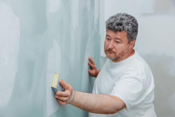 Best Commercial Mold Inspection  in Chadron, NE