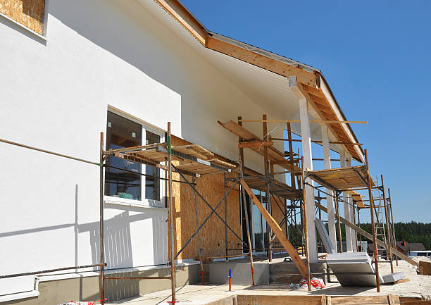 Best Basement Mold Removal  in Chadron, NE